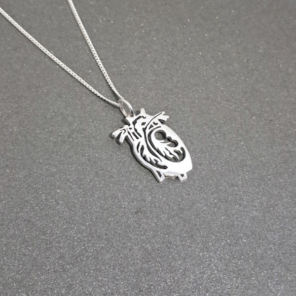A silver pendant necklace of a cutout anatomical heart, hanging from a silver chain on a textured dark gray background.