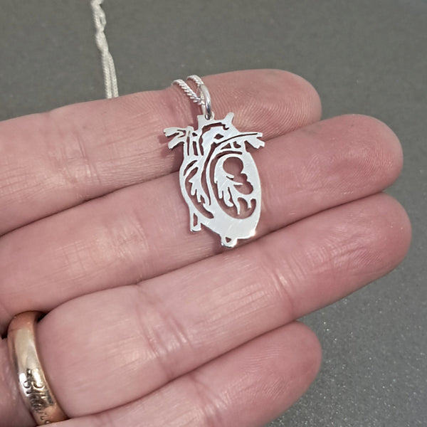 A silver anatomical heart pendant necklace held in a person's hand, with a silver chain visible at the top 